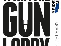 I am the gun lobby
